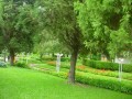фото3